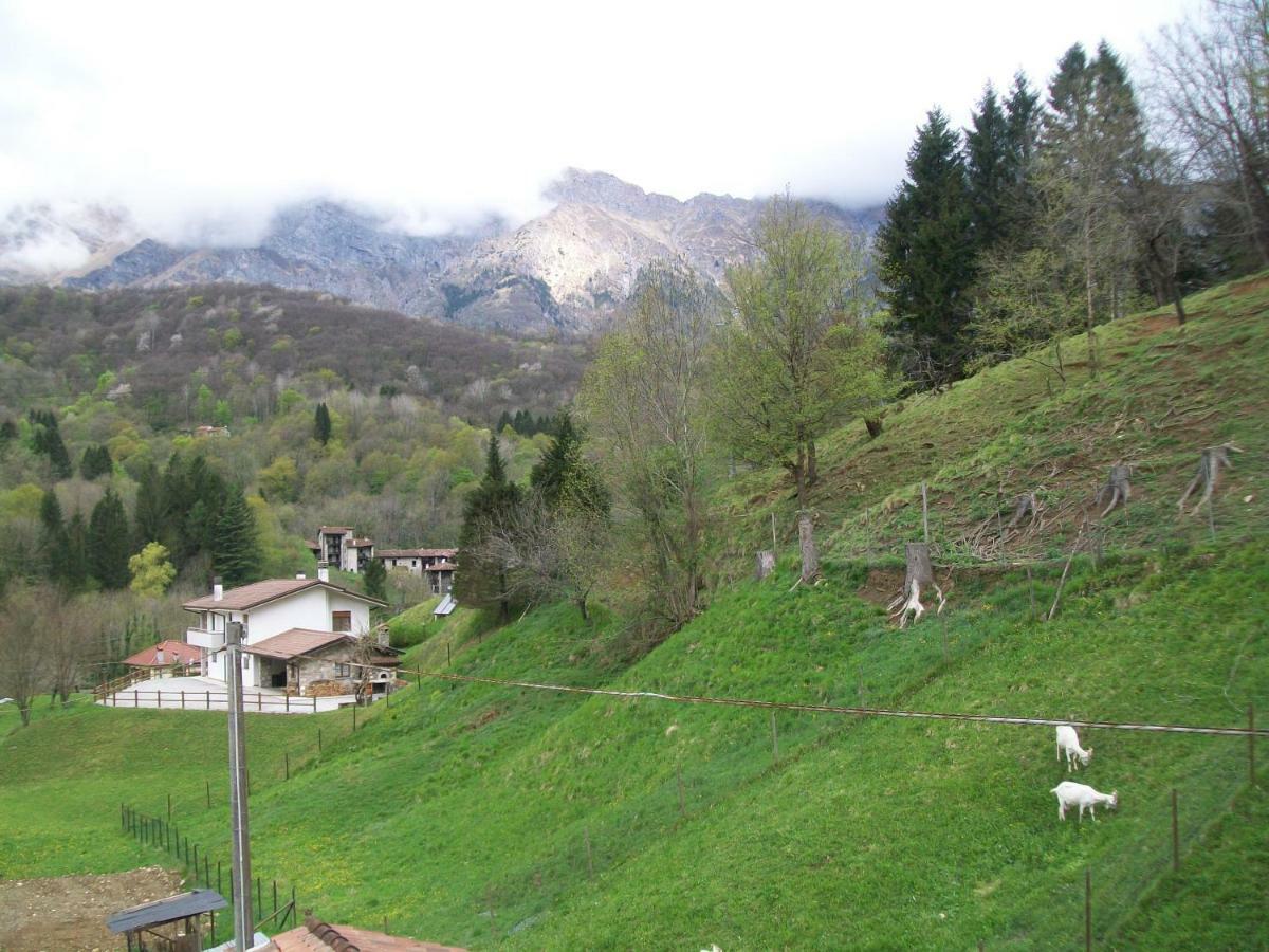 B&B In Fattoria Frisanco Εξωτερικό φωτογραφία