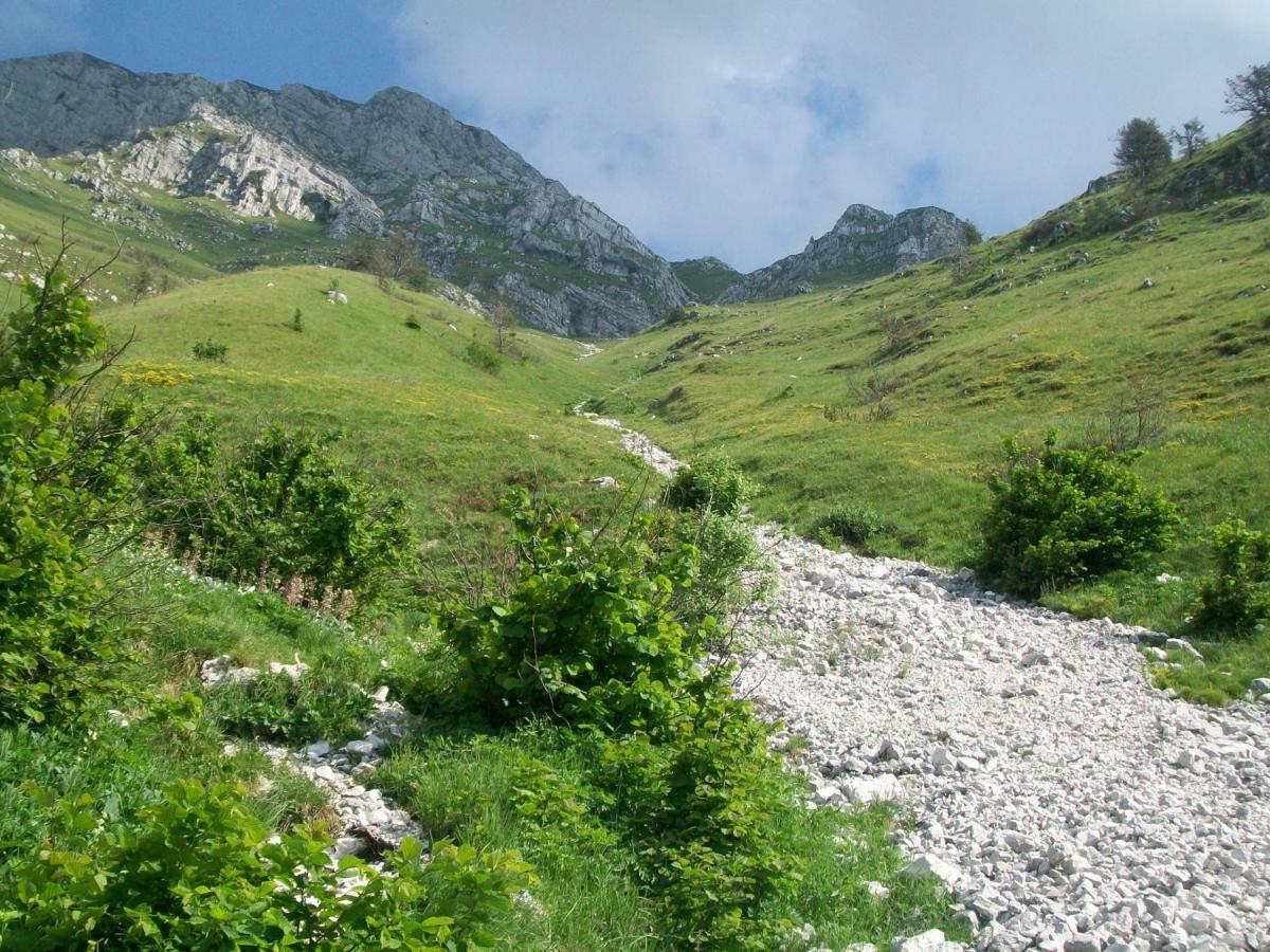 B&B In Fattoria Frisanco Εξωτερικό φωτογραφία