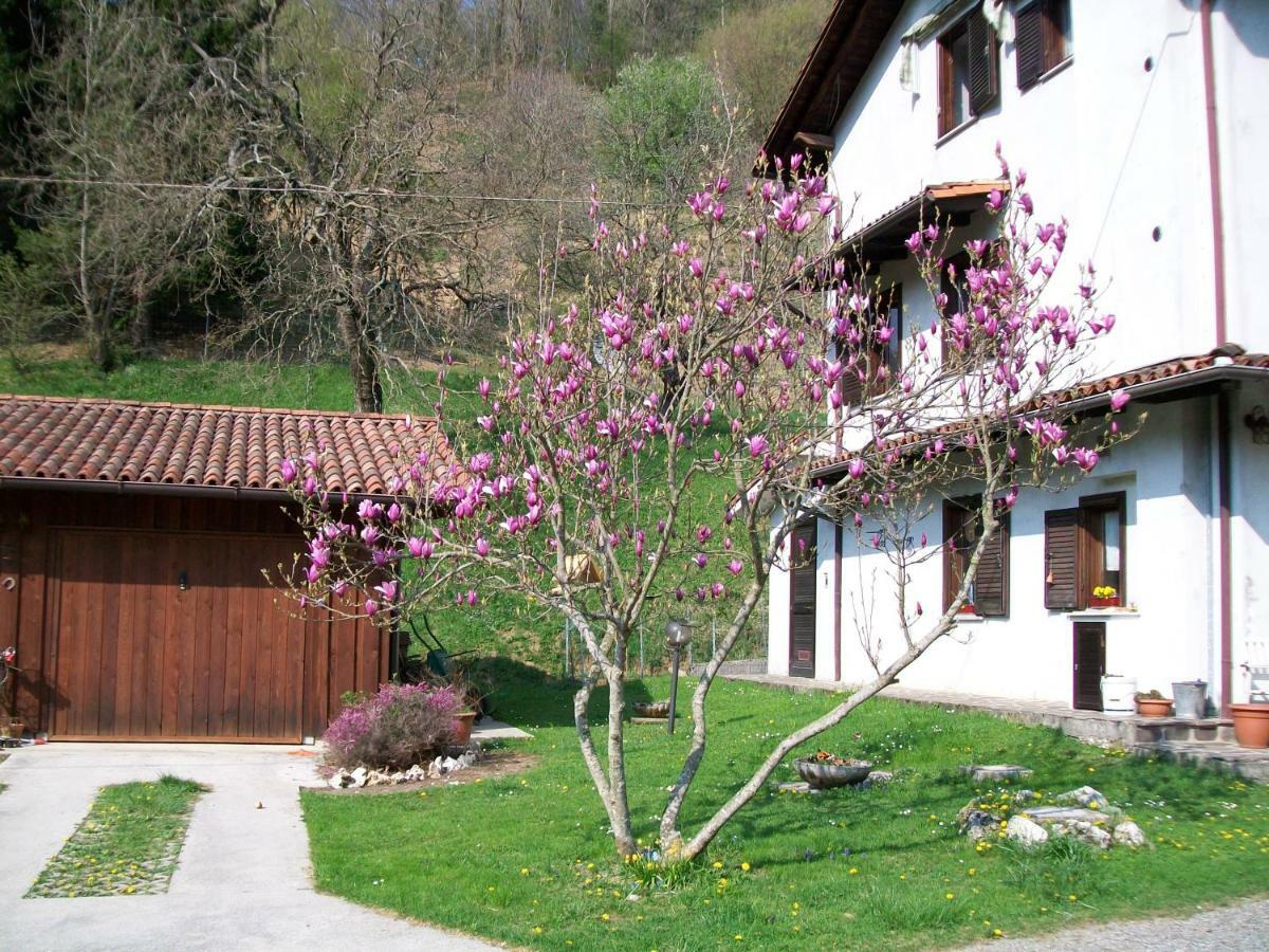 B&B In Fattoria Frisanco Εξωτερικό φωτογραφία