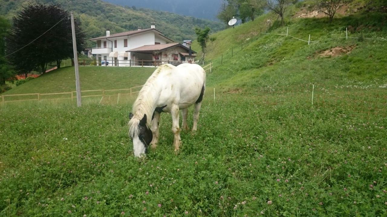 B&B In Fattoria Frisanco Εξωτερικό φωτογραφία