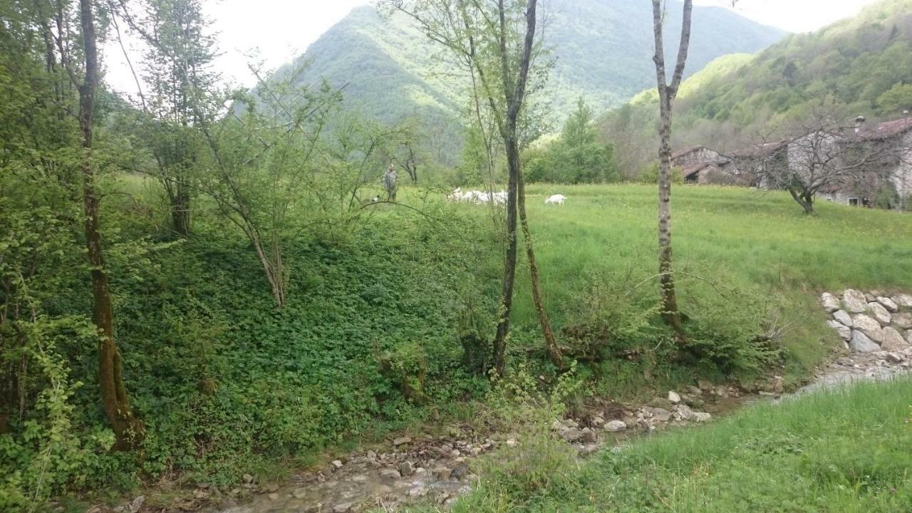 B&B In Fattoria Frisanco Εξωτερικό φωτογραφία